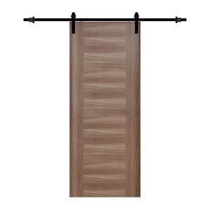 TTBR01LN Barn Door